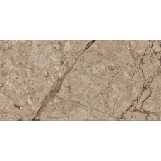 600 X 1200 Se 12186p Polished