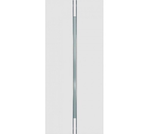 1421 Aluminum Door