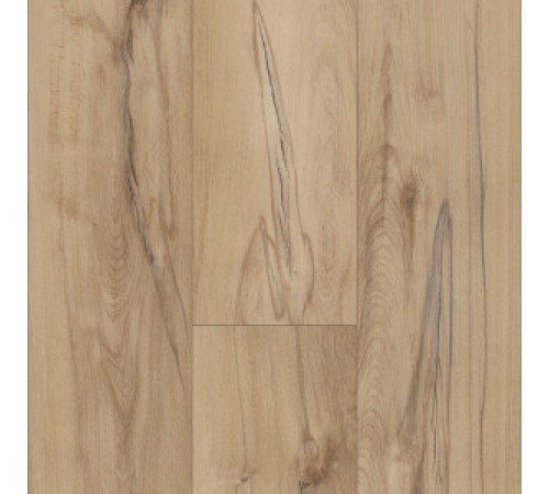 Imperial Beech Imperial Beech