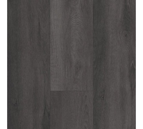 Guardian Oak Guardian Oak