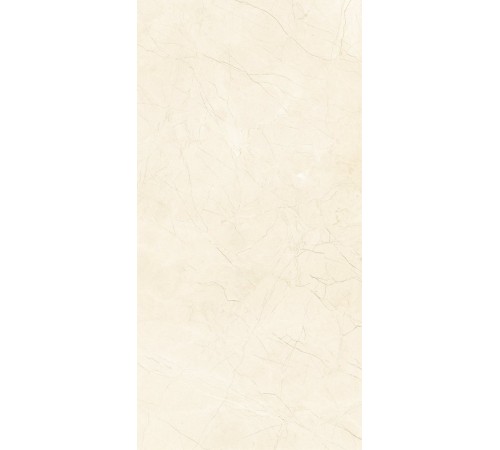 600 x 1200 Mood Ivory 600 x 1200 Mood Ivory