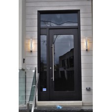 1 panel door with glass and transom