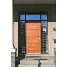 2 panel door with curved shape and glass 