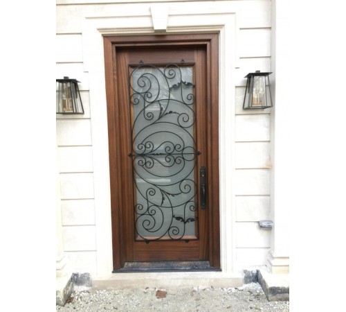 1 panel door with glass