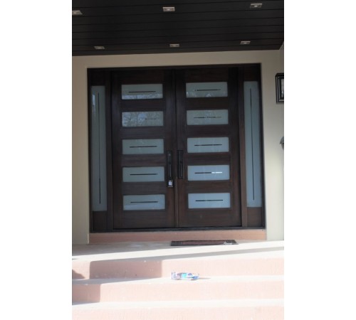 Double door modern style with glass