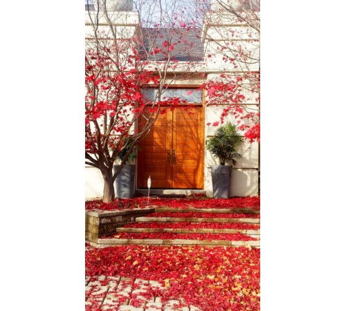 Double door solid modern with transom