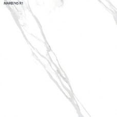 600 X 600 Polished  Calacatta Ultra