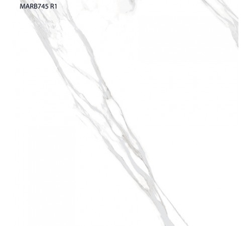 600 X 600 Polished  Calacatta Ultra