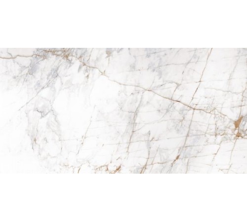 600 x 1200 Calacatta Rectified Porcelain Tile