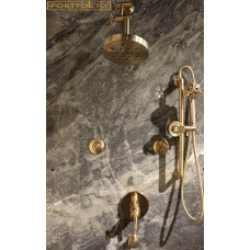 Brizo Litze Gold Shower 