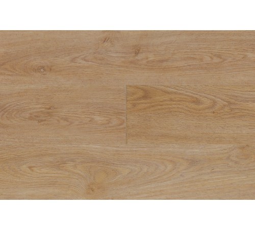 Spring Creek Spring Creek