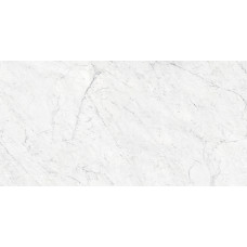 800 X 1600 Giola Silver Polished