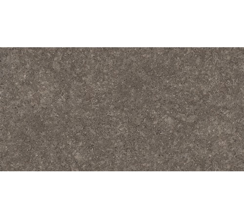800 X 1600 Grey William Real Polished