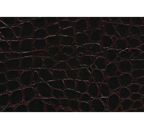 Modena Brown Modena Brown