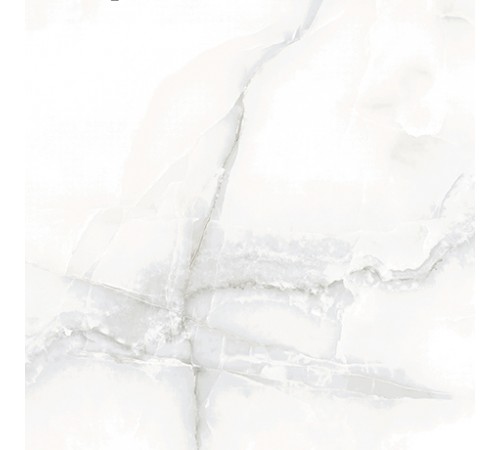 600 X 600 Polished  Onice Gregio