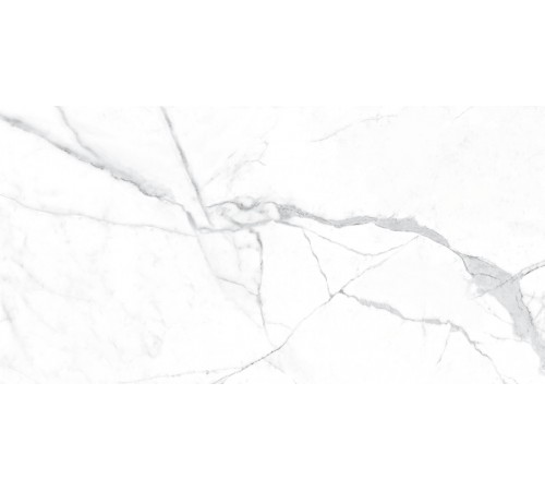 800 X 1600 Statuario Maximus Polished