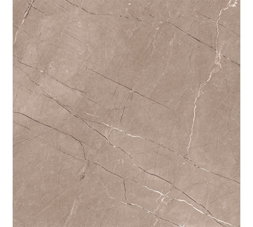 600 X 600 Se 12156r Matt