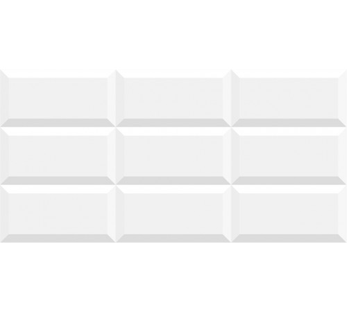 300x600 Ceramic Blackberry-1513