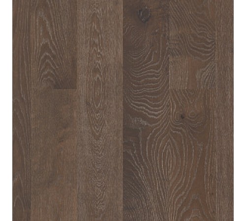 Drawbridge Drawbridge