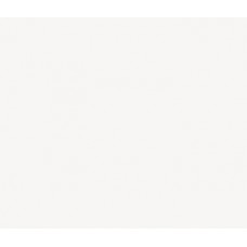 Forma Bianco Brillo Forma Bianco Brillo