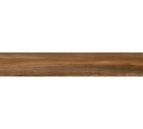 200 x 1200 At Rainier Nogal