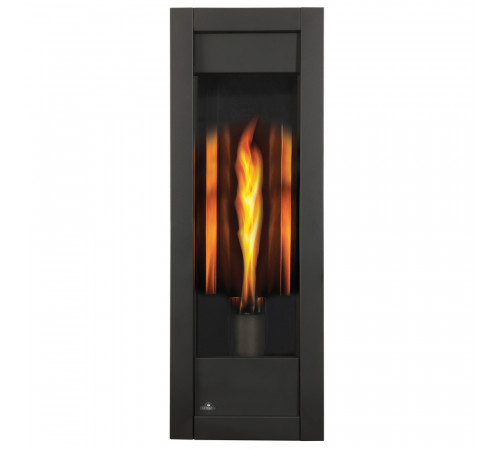 Torch® Direct Vent Gas Fireplace