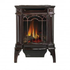 Arlington™ Direct Vent Gas Stove