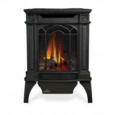 Arlington™ Direct Vent Gas Stove