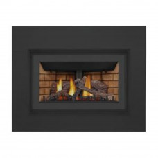 Inspiration™ ZC Gas Fireplace Insert