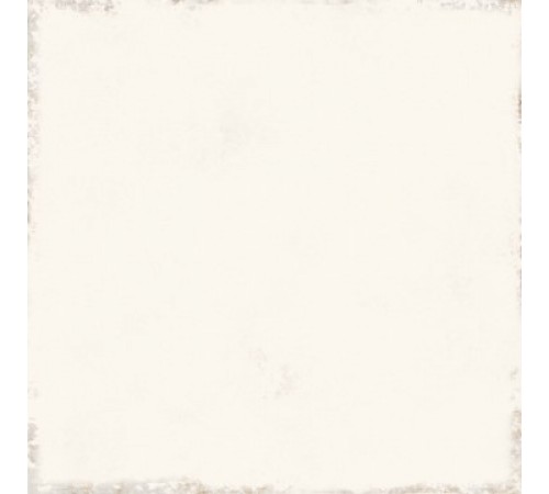 Tarantela Yeso Tarantela Yeso